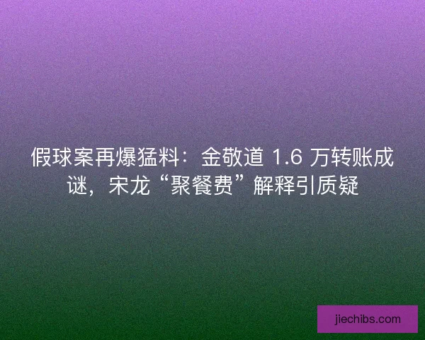 假球案再爆猛料：金敬道 1.6 万转账成谜，宋龙 “聚餐费” 解释引质疑